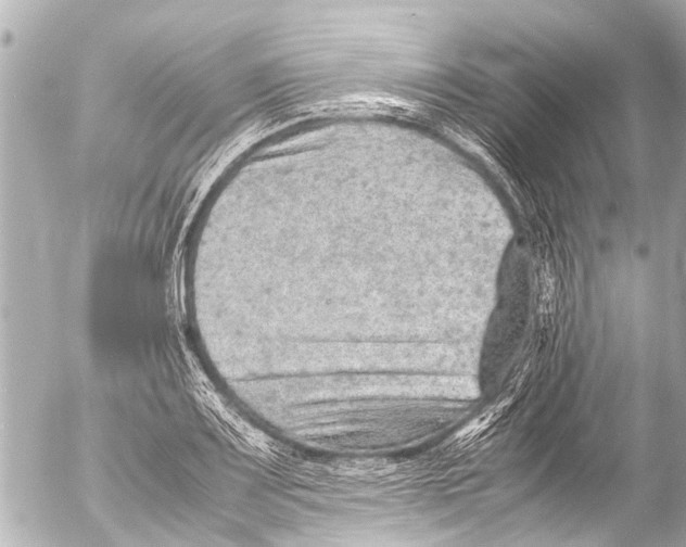 X0000054471083200508270123