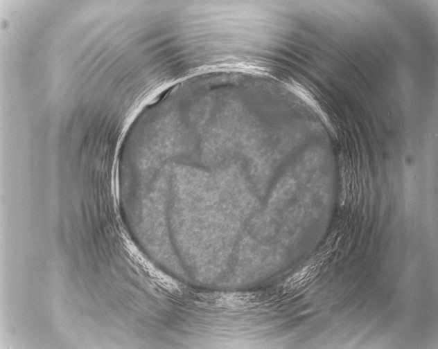 X0000054471084200508270123