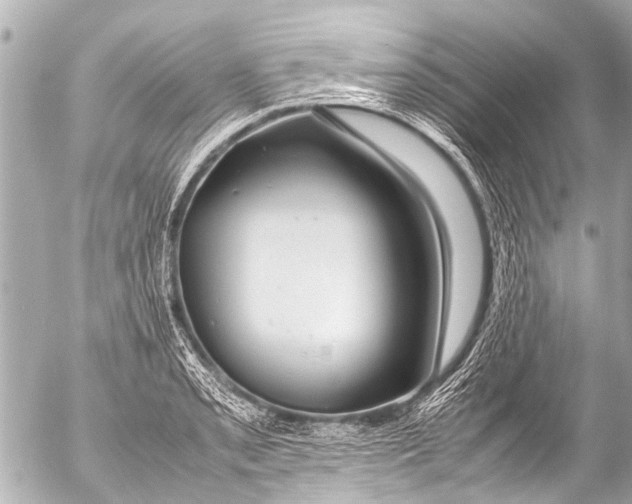 X0000054471085200508270123