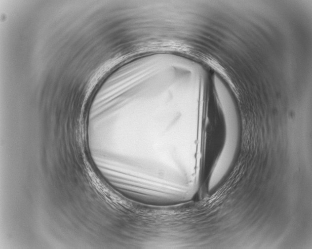 X0000054471088200508270123