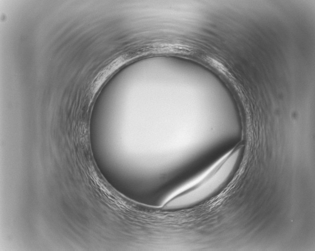 X0000054471089200508270123