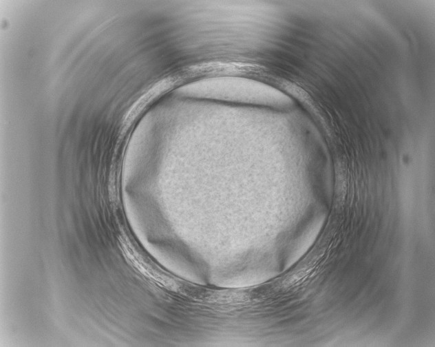 X0000054471090200508270123