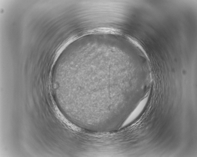 X0000054471091200508270123