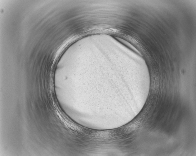 X0000054471094200508270123