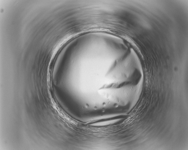 X0000054471096200508270123