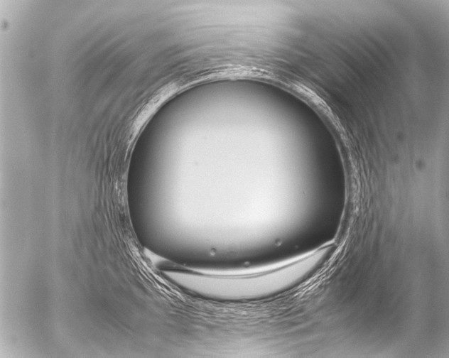 X0000054471097200508270123