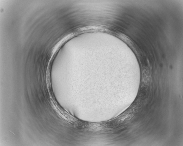 X0000054471098200508270123