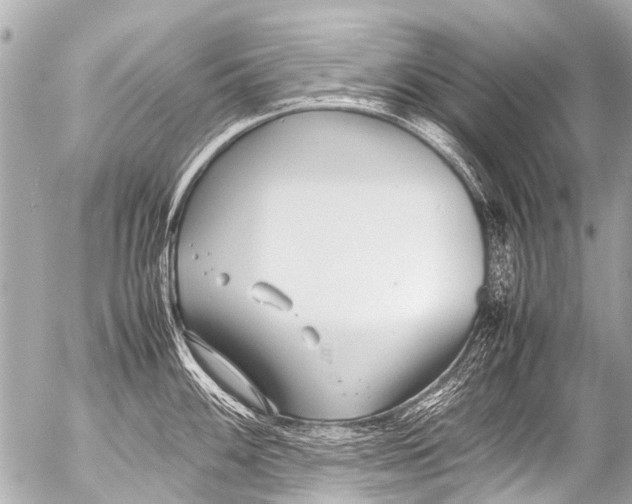 X0000054471100200508270123