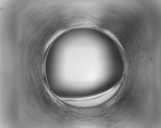 X0000054471101200508270123