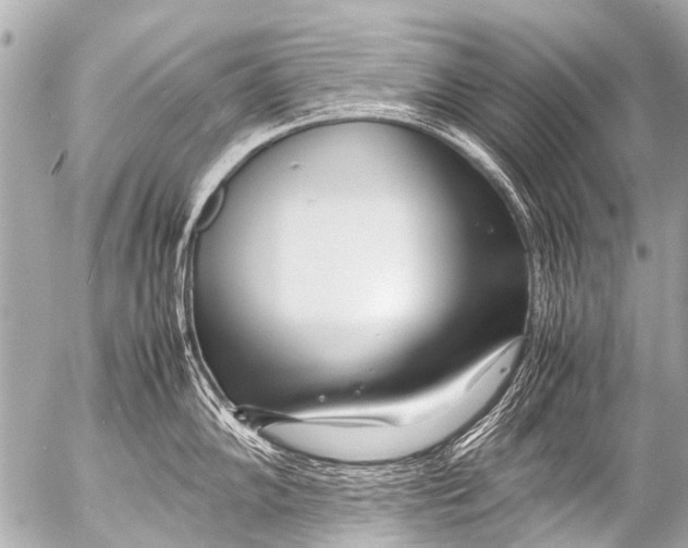 X0000054471102200508270123