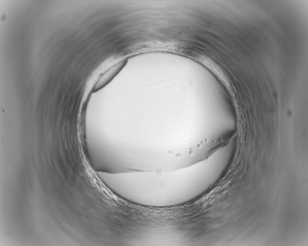 X0000054471104200508270123