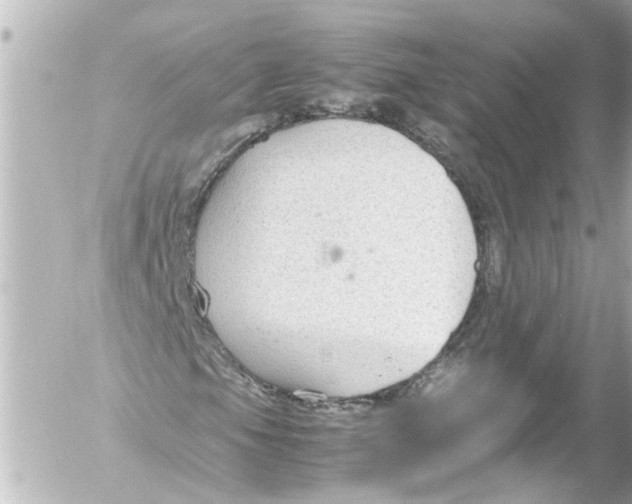 X0000054471105200508270122