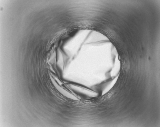 X0000054471106200508270122