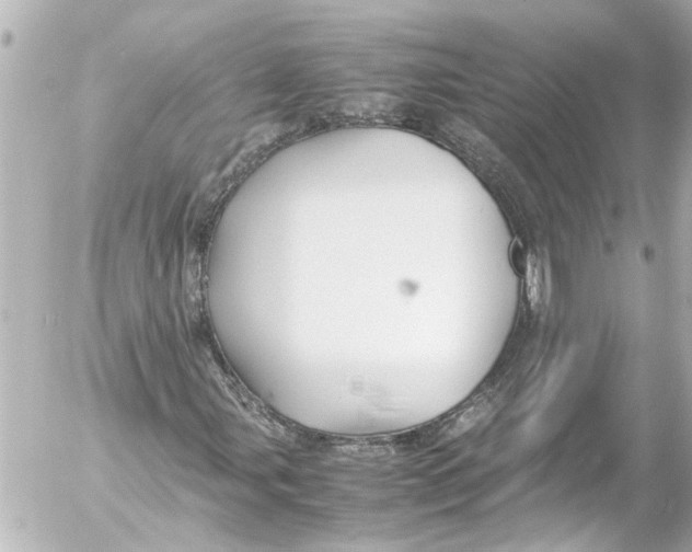 X0000054471107200508270122