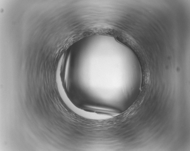 X0000054471108200508270122