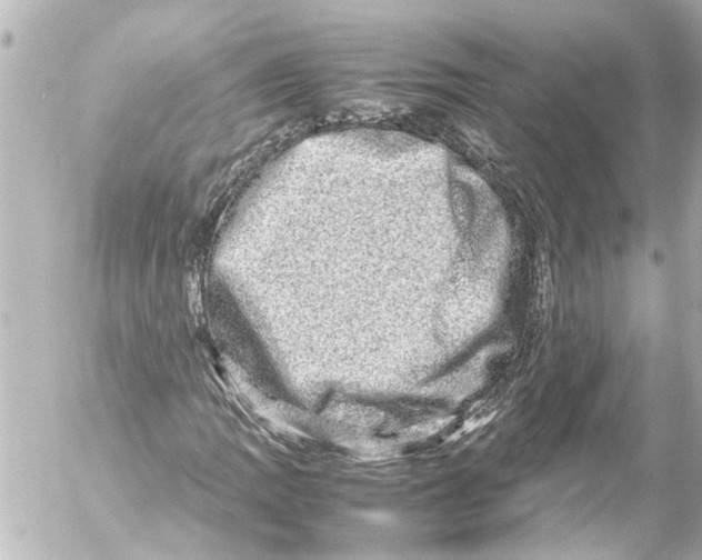 X0000054471109200508270122