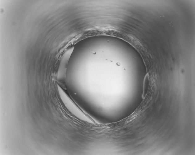 X0000054471110200508270122