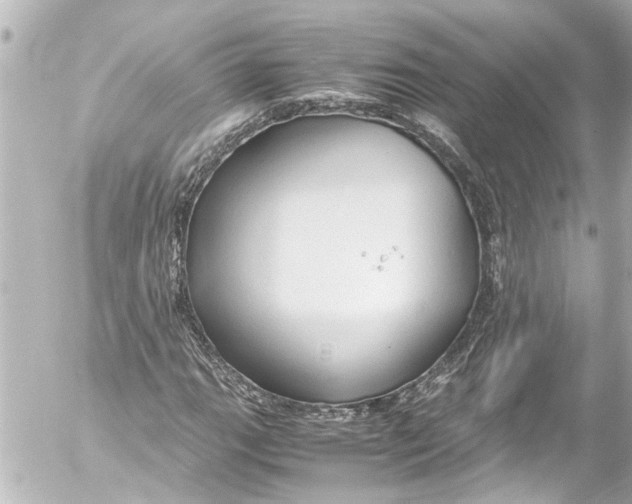 X0000054471111200508270122