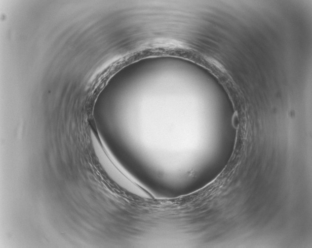 X0000054471112200508270122