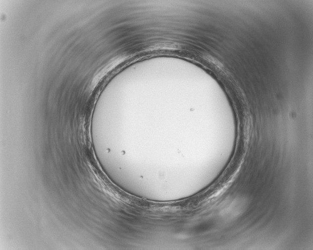 X0000054471113200508270122