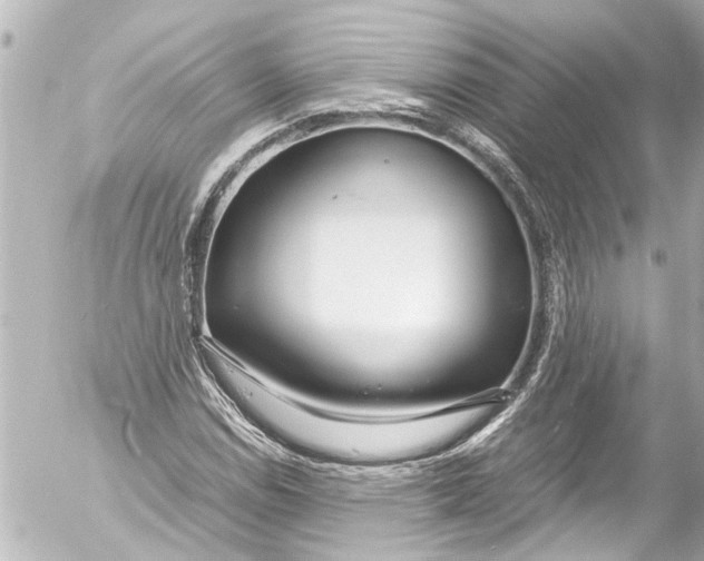 X0000054471114200508270122