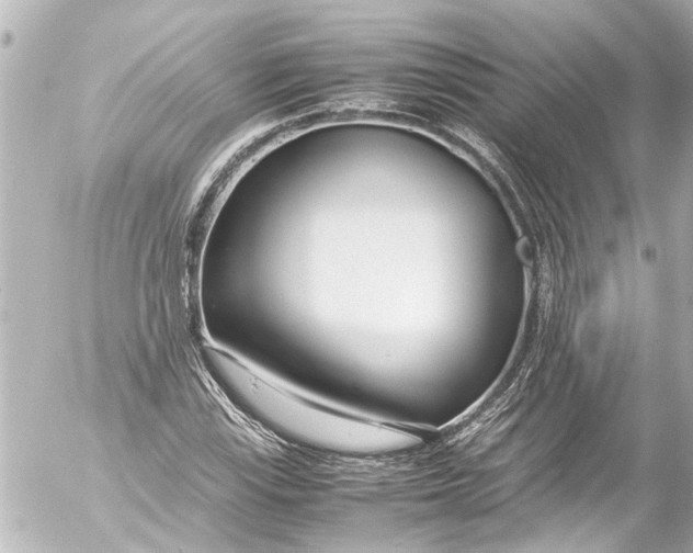 X0000054471115200508270122