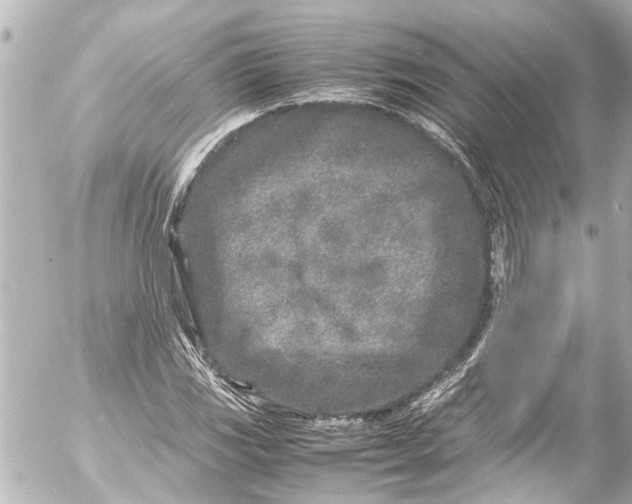 X0000054471117200508270122