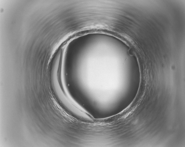 X0000054471118200508270122