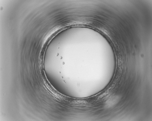 X0000054471119200508270122