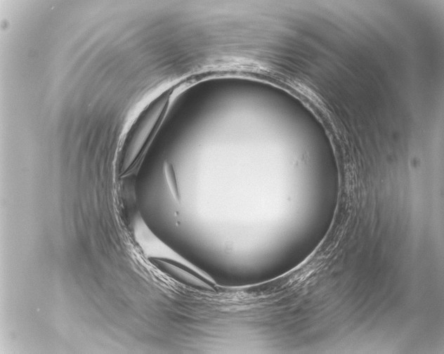 X0000054471120200508270122