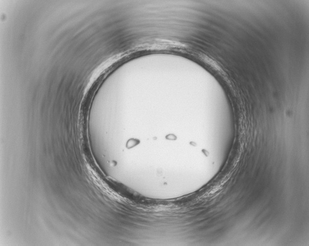 X0000054471122200508270122