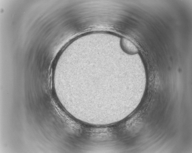 X0000054471126200508270122