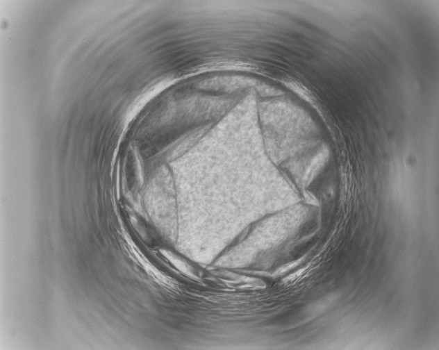 X0000054471127200508270122