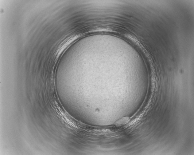 X0000054471129200508270123