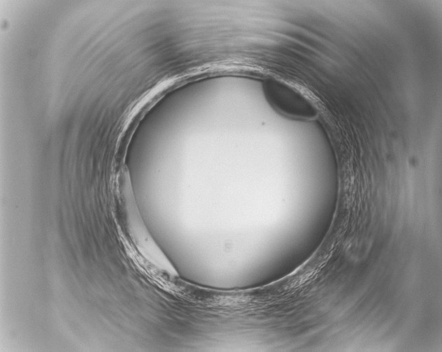 X0000054471134200508270123