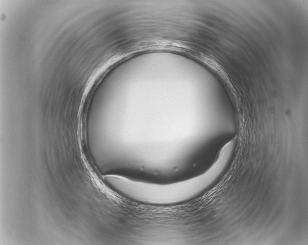 X0000054471136200508270123