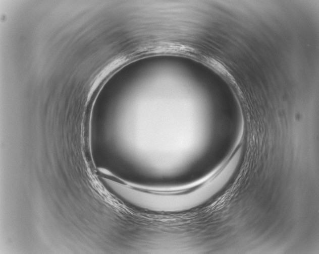 X0000054471138200508270123