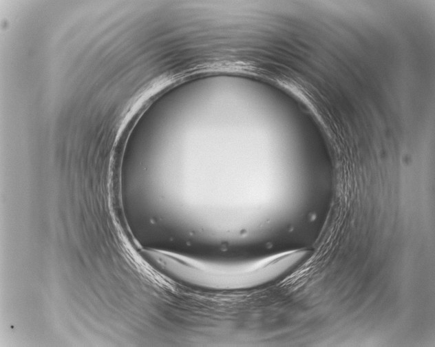 X0000054471139200508270123