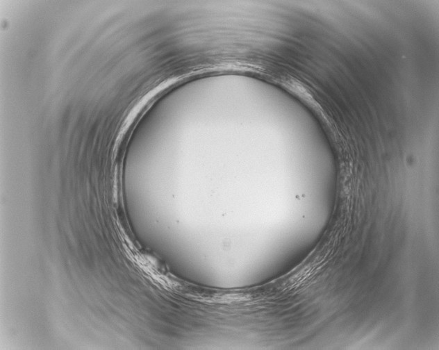 X0000054471140200508270123