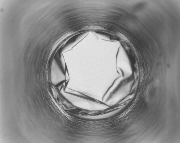 X0000054471141200508270123