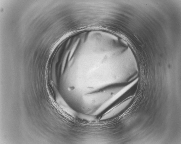 X0000054471142200508270123