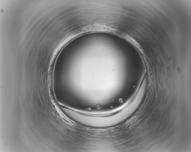 X0000054471144200508270123