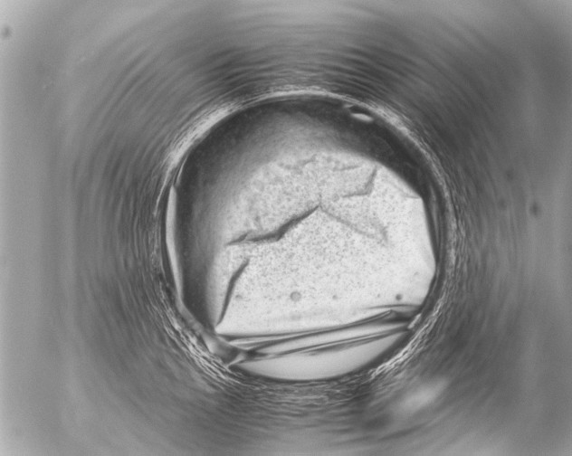 X0000054471145200508270123