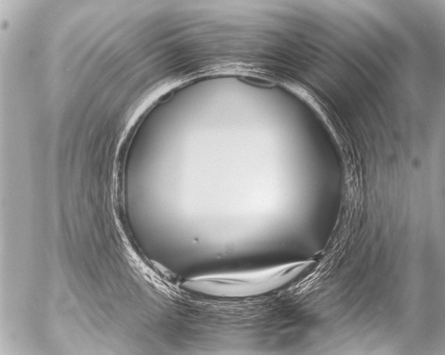 X0000054471147200508270123