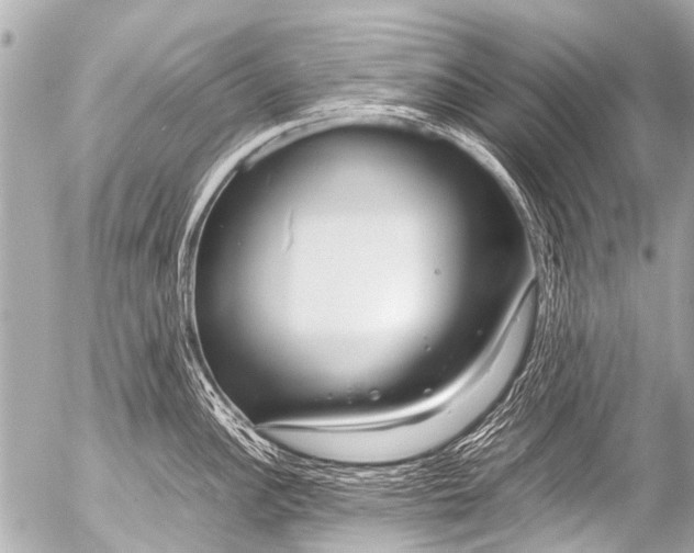 X0000054471148200508270123