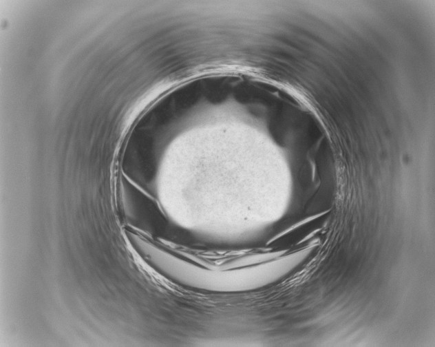 X0000054471151200508270123