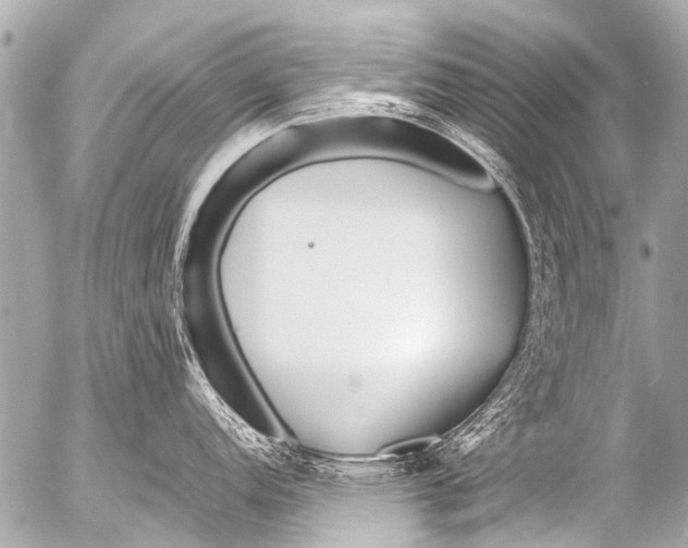 X0000054471152200508270123