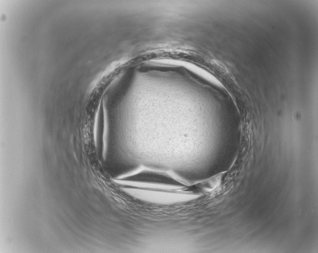 X0000054471159200508270122