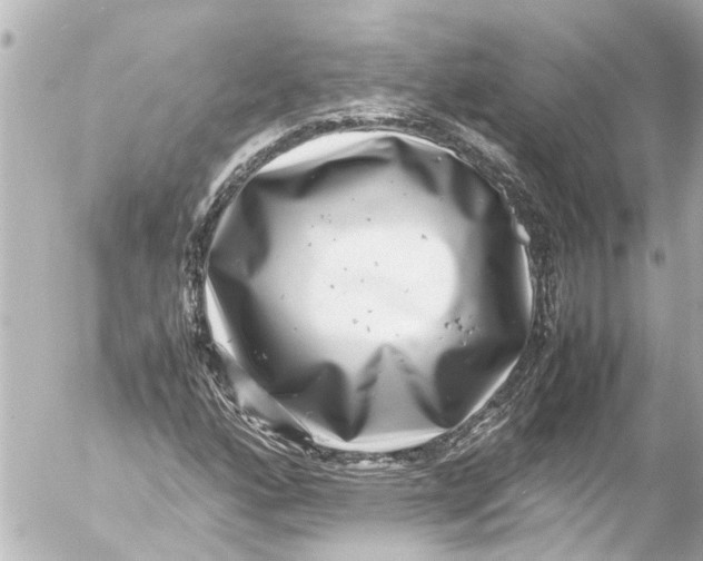 X0000054471160200508270122