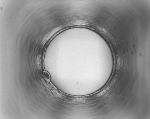 X0000054471162200508270122